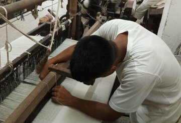 Livelihood Training